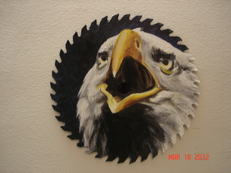 Amarican Bald Eagle