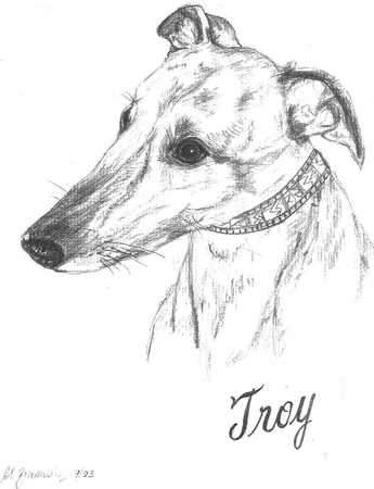 Troy