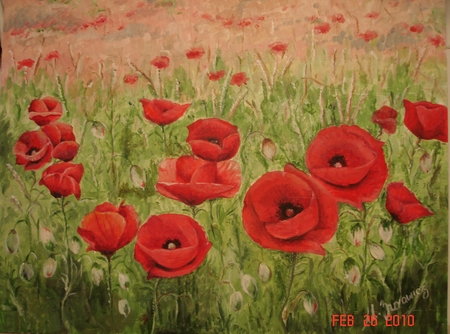 Poppy Field